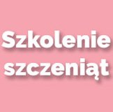 2h